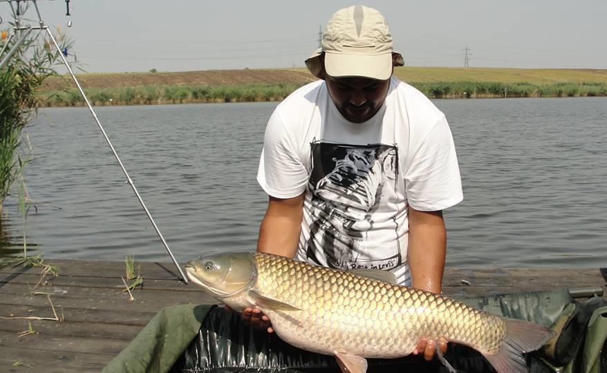 Fishing - 993989559310697450502540994830n.jpg